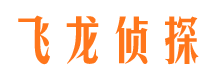 弥渡侦探公司